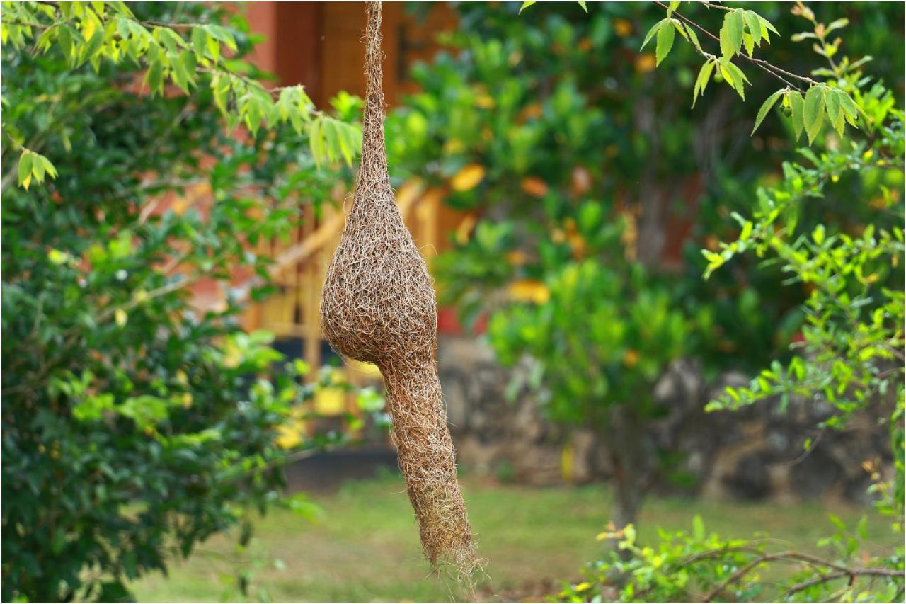 Yala Peace Cottages Tissamaharama Exterior foto