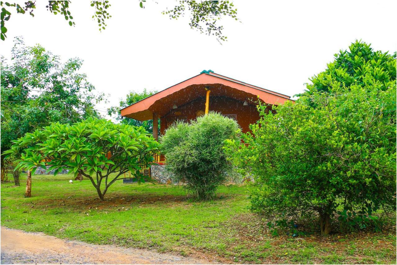 Yala Peace Cottages Tissamaharama Exterior foto